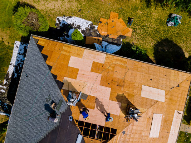Best Metal Roofing Contractor  in Warroad, MN