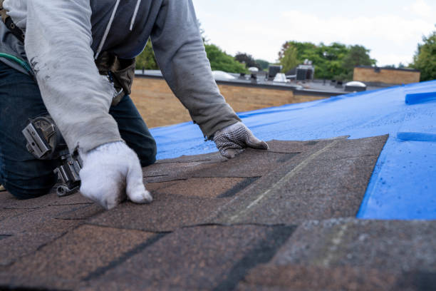 Sealant for Roof in Warroad, MN