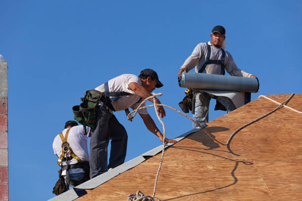 Best Commercial Roofing Services  in Warroad, MN