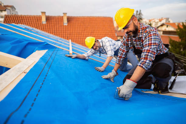 Roof Waterproofing Services in Warroad, MN