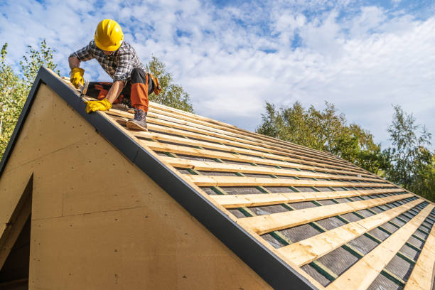 Best New Roof Installation  in Warroad, MN
