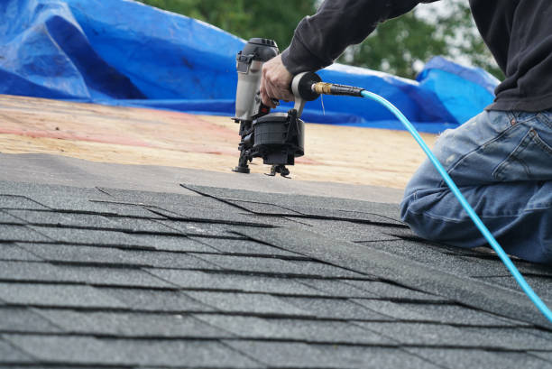 Best Roof Replacement Cost  in Warroad, MN