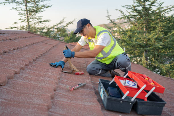 Best Roof Waterproofing Services  in Warroad, MN