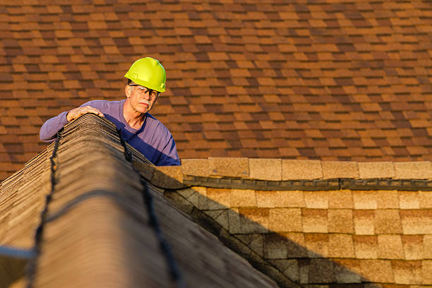 Quick and Trustworthy Emergency Roof Repair Services in Warroad, MN