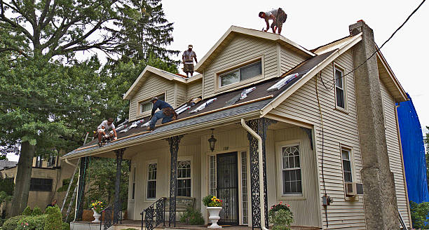 Best Roof Gutter Cleaning  in Warroad, MN