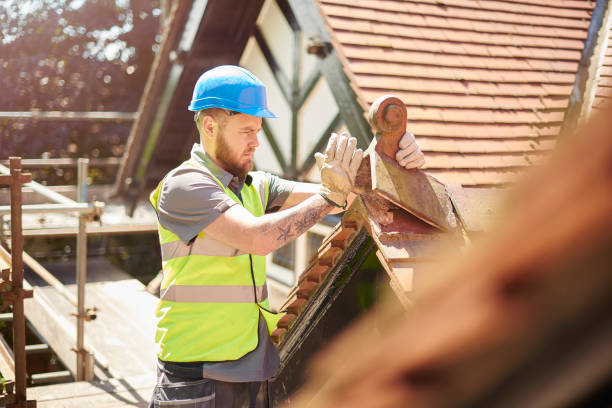 Best Roof Repair Estimates  in Warroad, MN