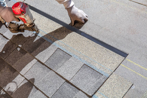 Best Metal Roofing Contractor  in Warroad, MN