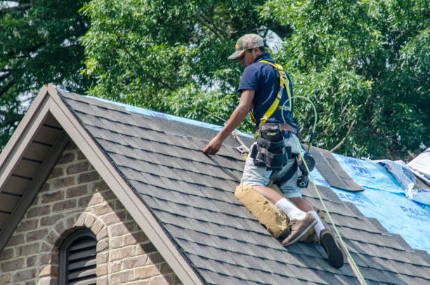 Roof Repair Estimates in Warroad, MN